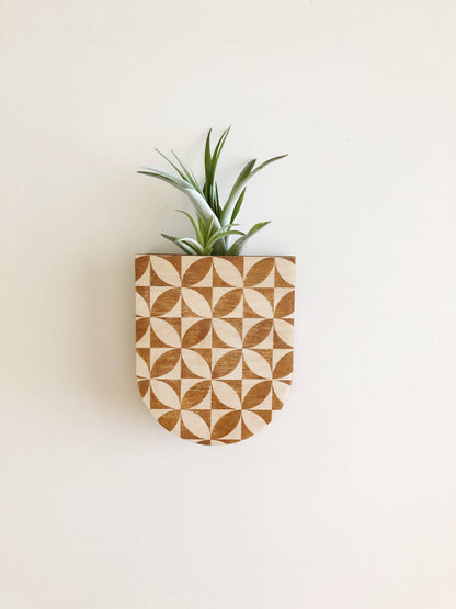 Petals Pocket Wall Planter Vase by Stacy Wong