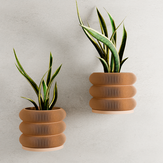 Hanging Triple Bubble Wall Planter in Natural Wood by Modernized Pottery