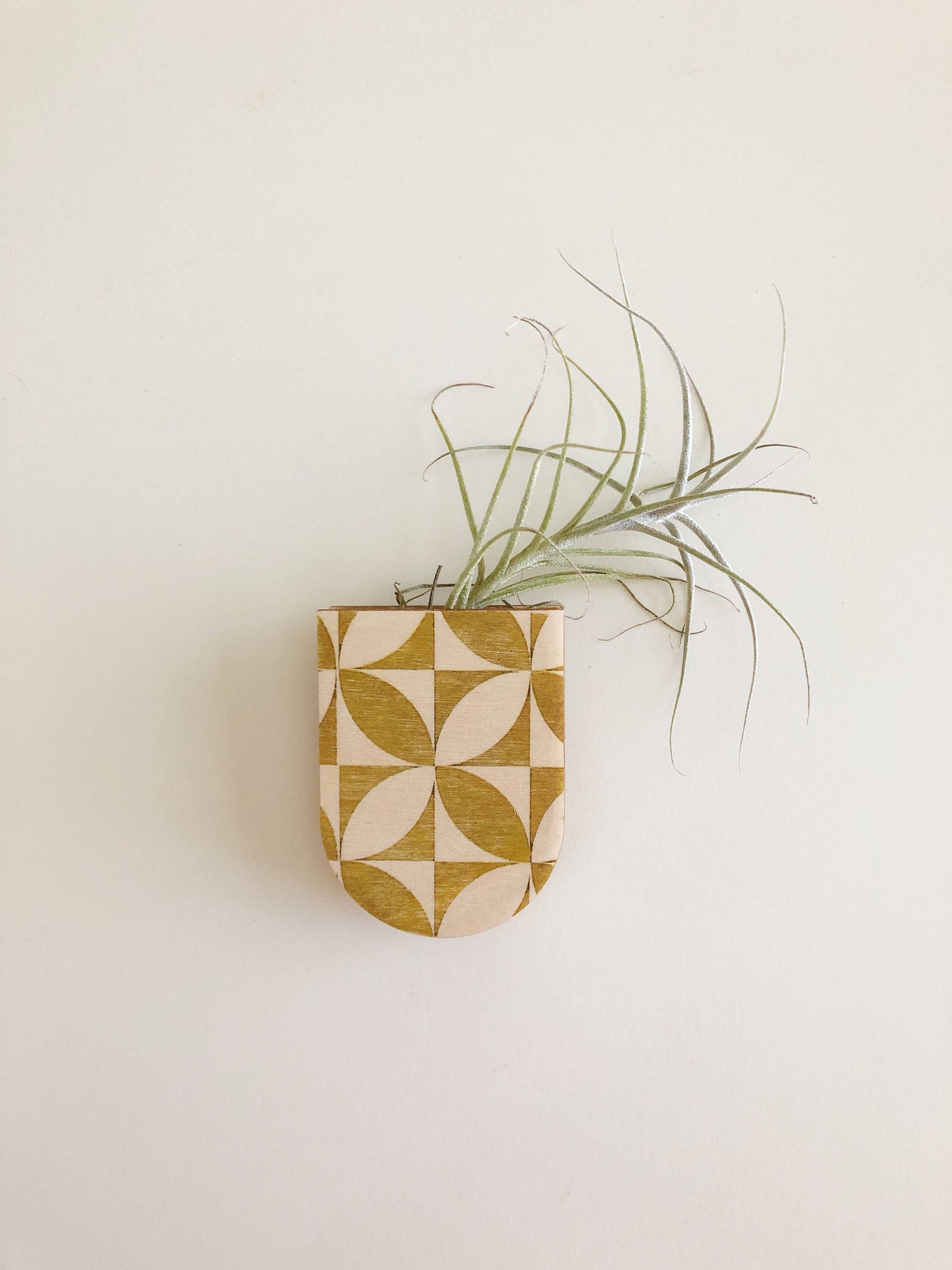 Mini Magnetic Planter Pot by Stacy Wong