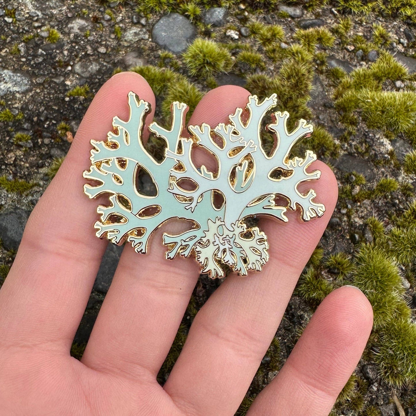 Oakmoss Lichen Enamel Pin by Owl & Bear Studio