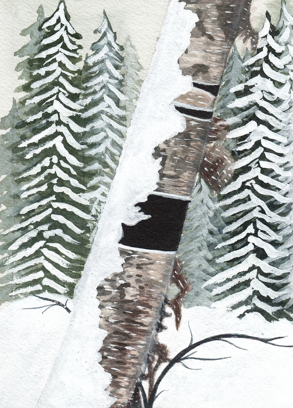 Winter Backyard 5x7 Print by Brittany Montour