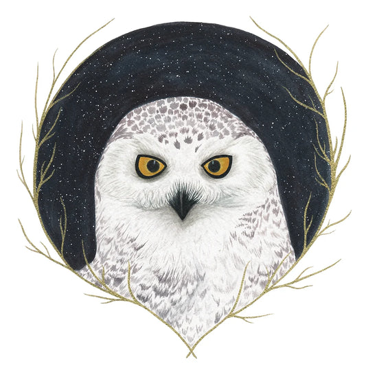 Snowy Owl at Night 8x8 Print by Brittany Montour