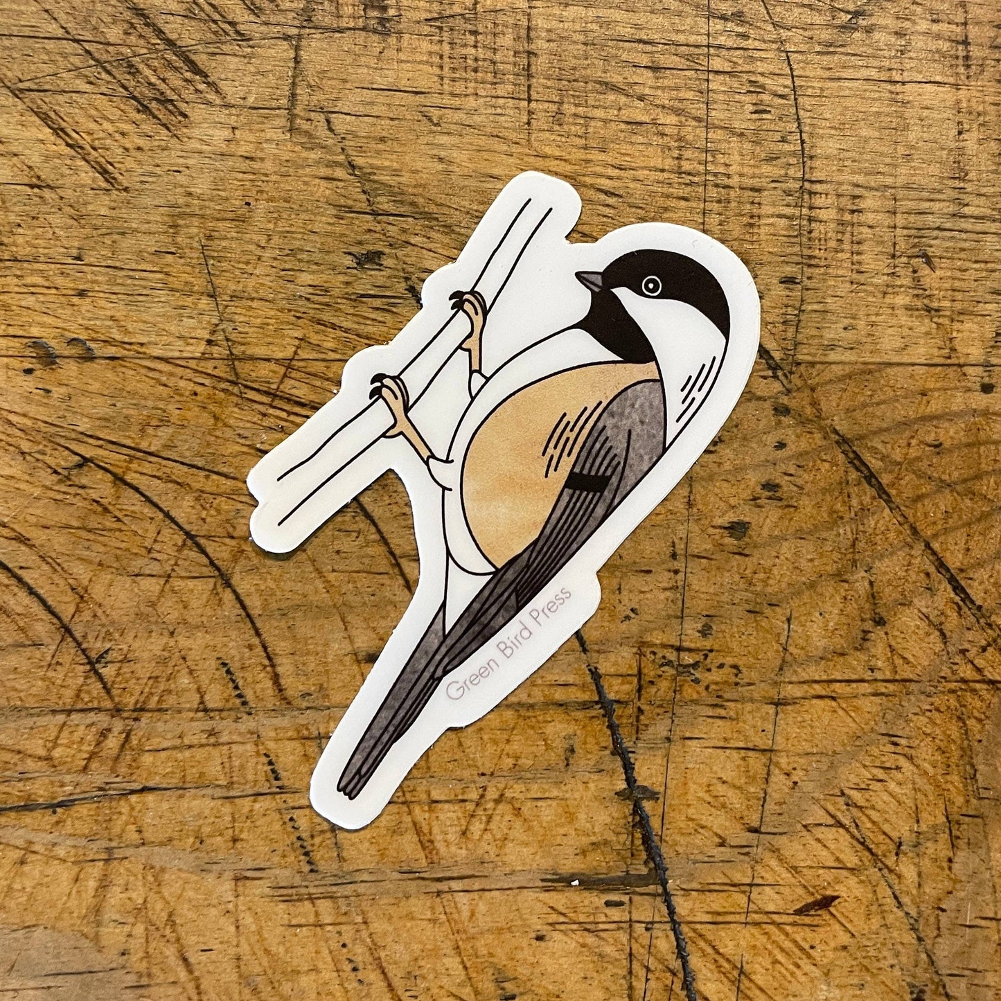 Black-capped Chickadee Sticker by Green Bird Press
