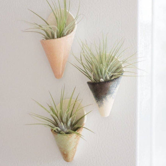 Tiny Ceramic Magnet Planter by Carter & Rose