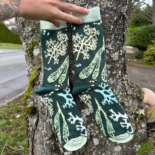 Lichen Socks | Unisex by Owl & Bear Studio