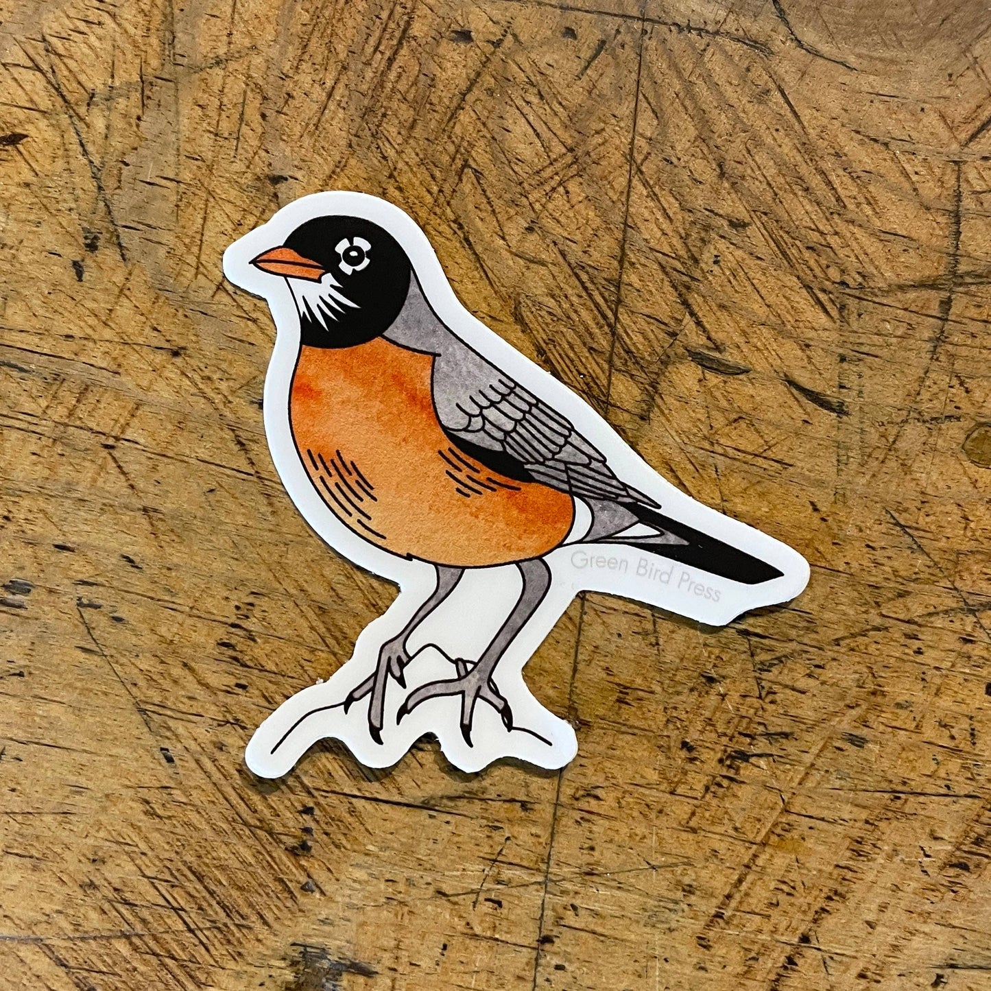 American Robin Sticker by Green Bird Press