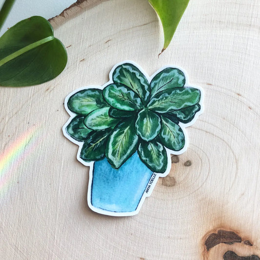 Plant Sticker by Anya Toelle