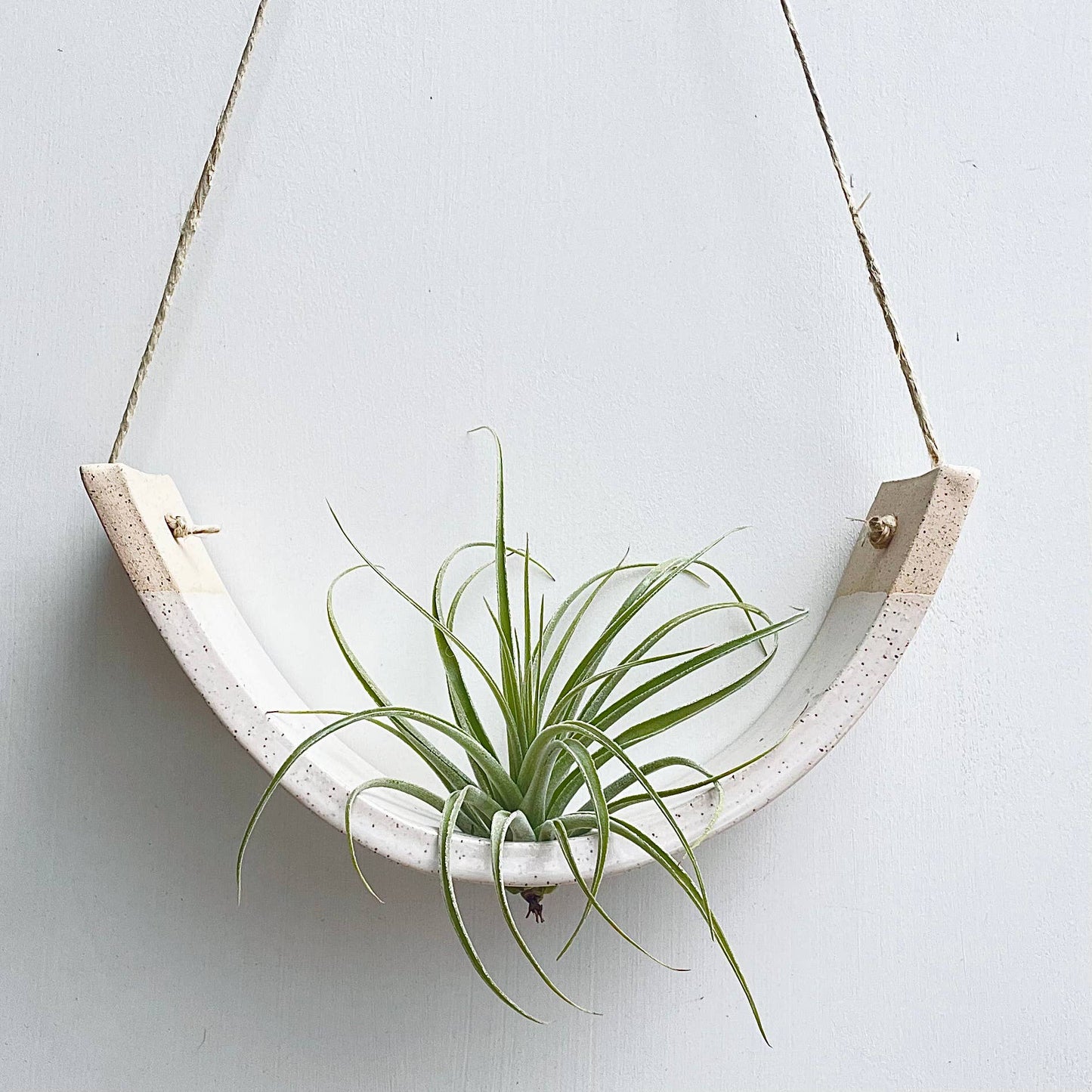 Hanging Air Plant Cradle | Large | White Speckled Gloss by Mudpuppy