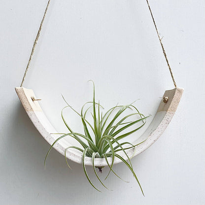 Hanging Air Plant Cradle | Large | White Speckled Gloss by Mudpuppy
