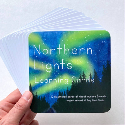 Northern Lights Learning Cards by Tiny Nest Studio
