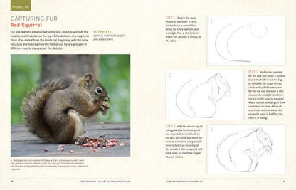 Discover the Art of Field Sketching