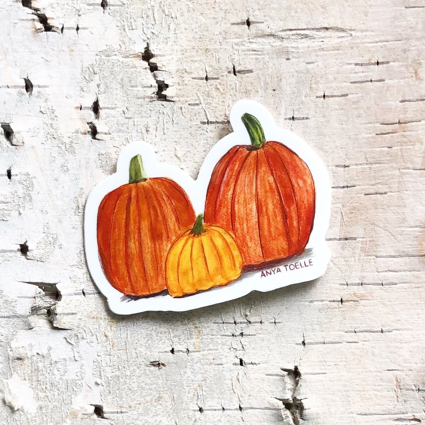 Pumpkin Sticker by Anya Toelle
