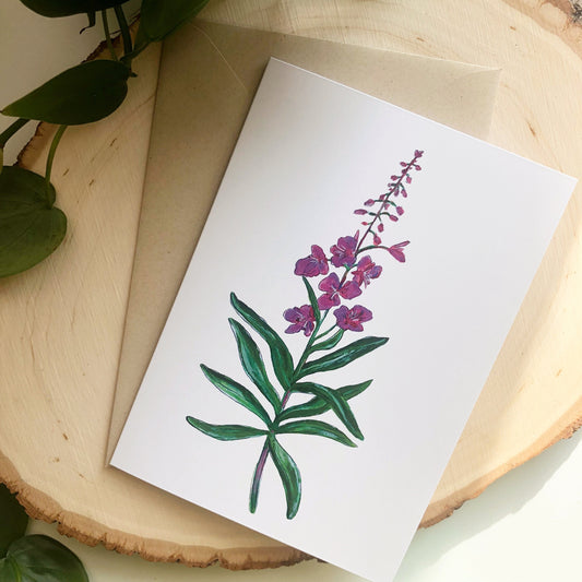 Fireweed Card by Anya Toelle