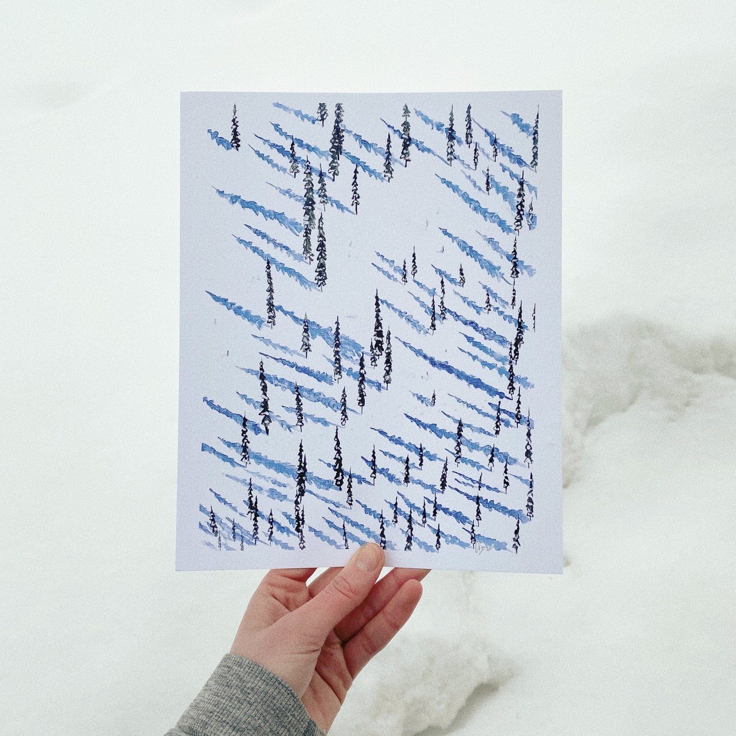 Arctic Shadows 8x10 Print by Anya Toelle