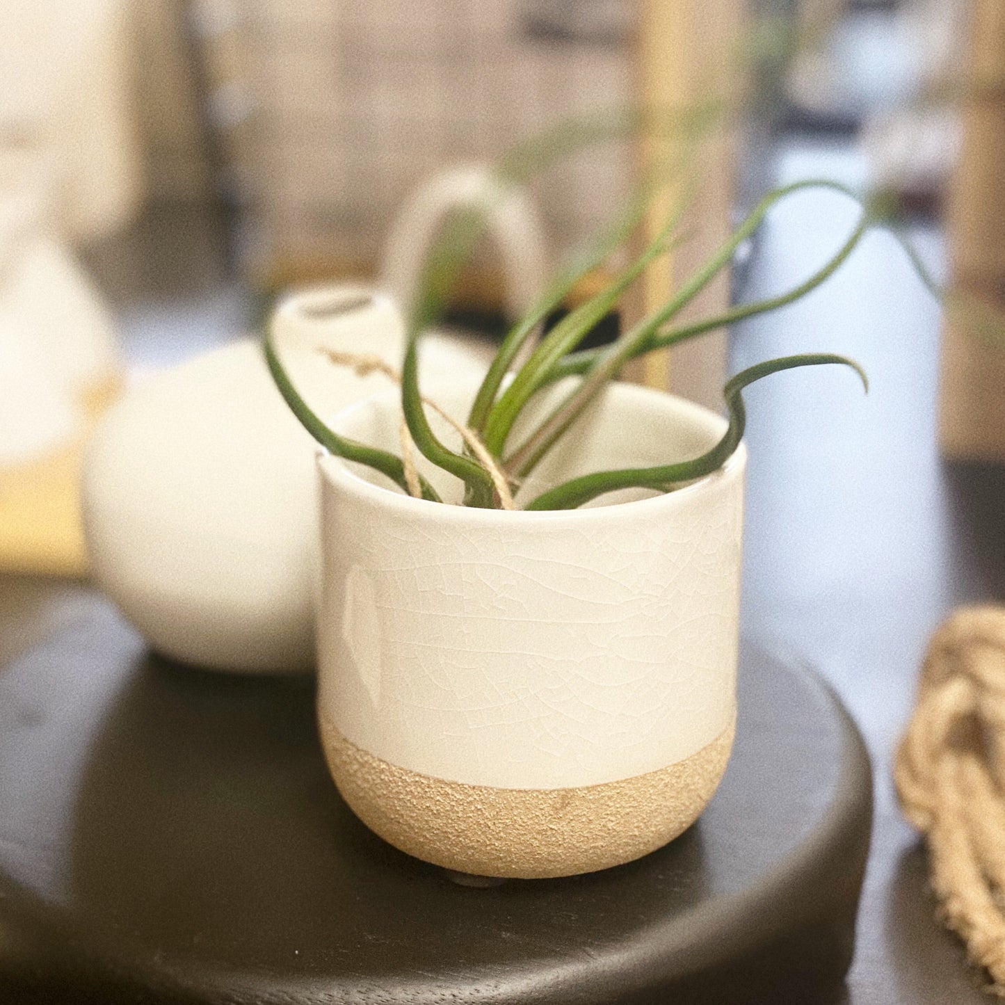 Mini Ceramic Planter