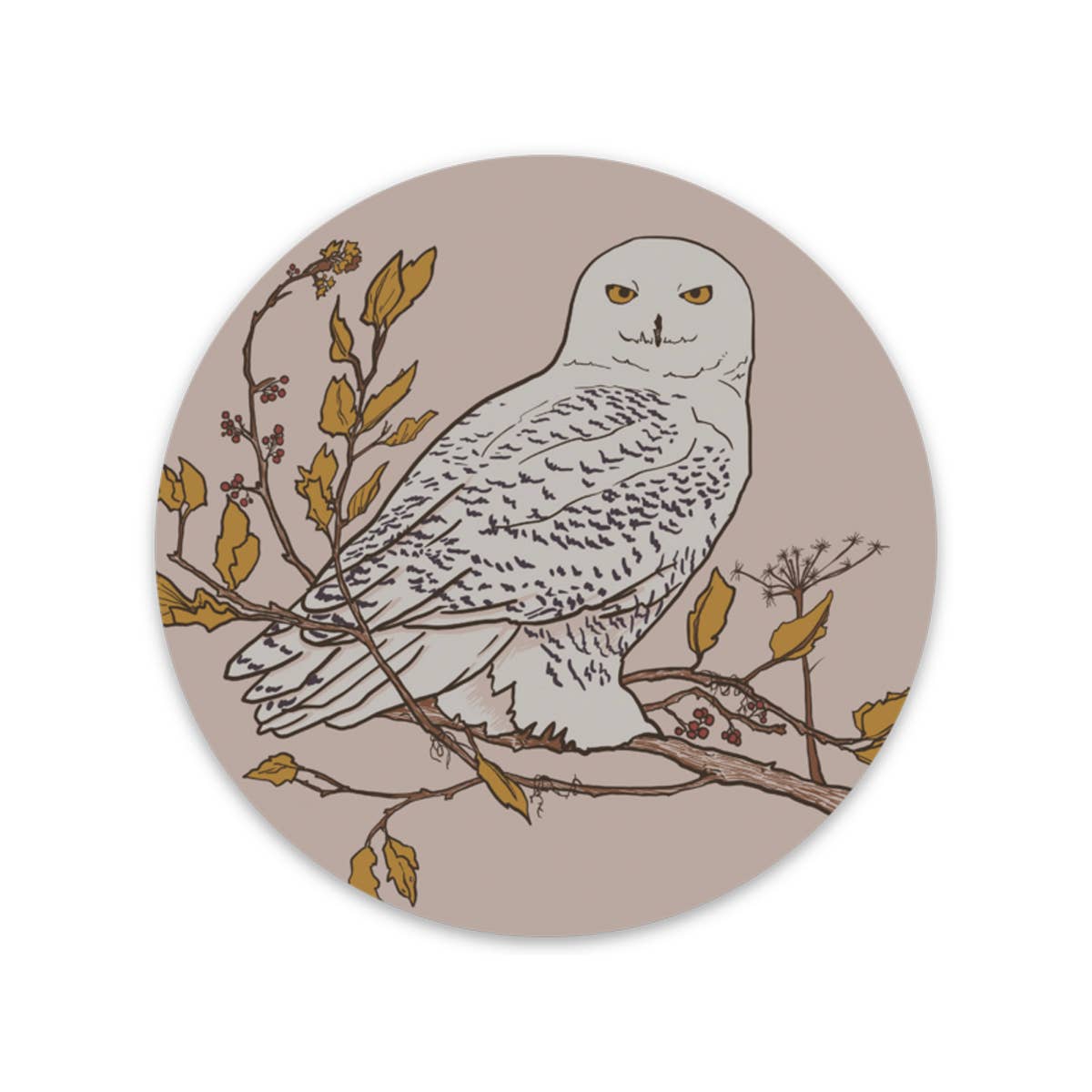 Snowy Owl Vinyl Sticker by Corvidae