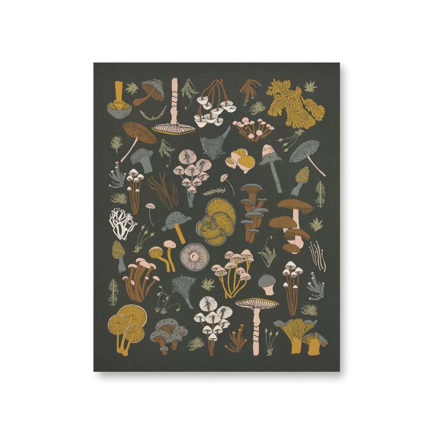 Mosses + Mushrooms 8x10 Print by June & December