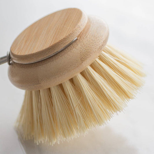 Replacement Brush Head by No Tox Life