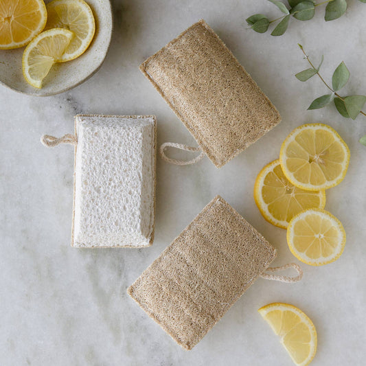 Loofah + Cellulose Cleaning Sponge by Earth Ahead