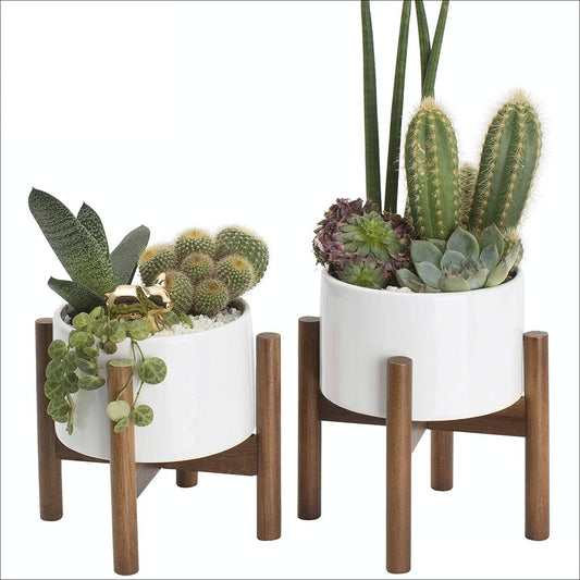 Ceramic Succulent Planter with Wood Stand, 5"