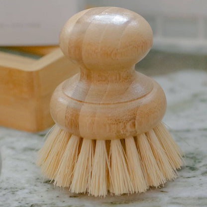 Dish Washing Brush by No Tox Life